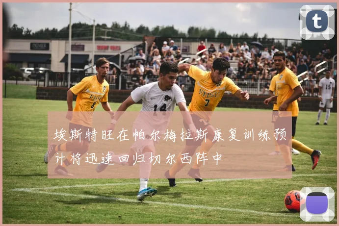 埃斯特旺在帕尔梅拉斯康复训练预计将迅速回归切尔西阵中